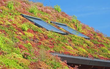 Summer Heath living roof systems