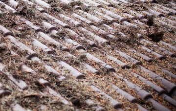 Summer Heath roof cleaning companies